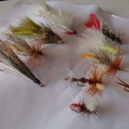 22406276_904194766411703_7748154904566110812_n